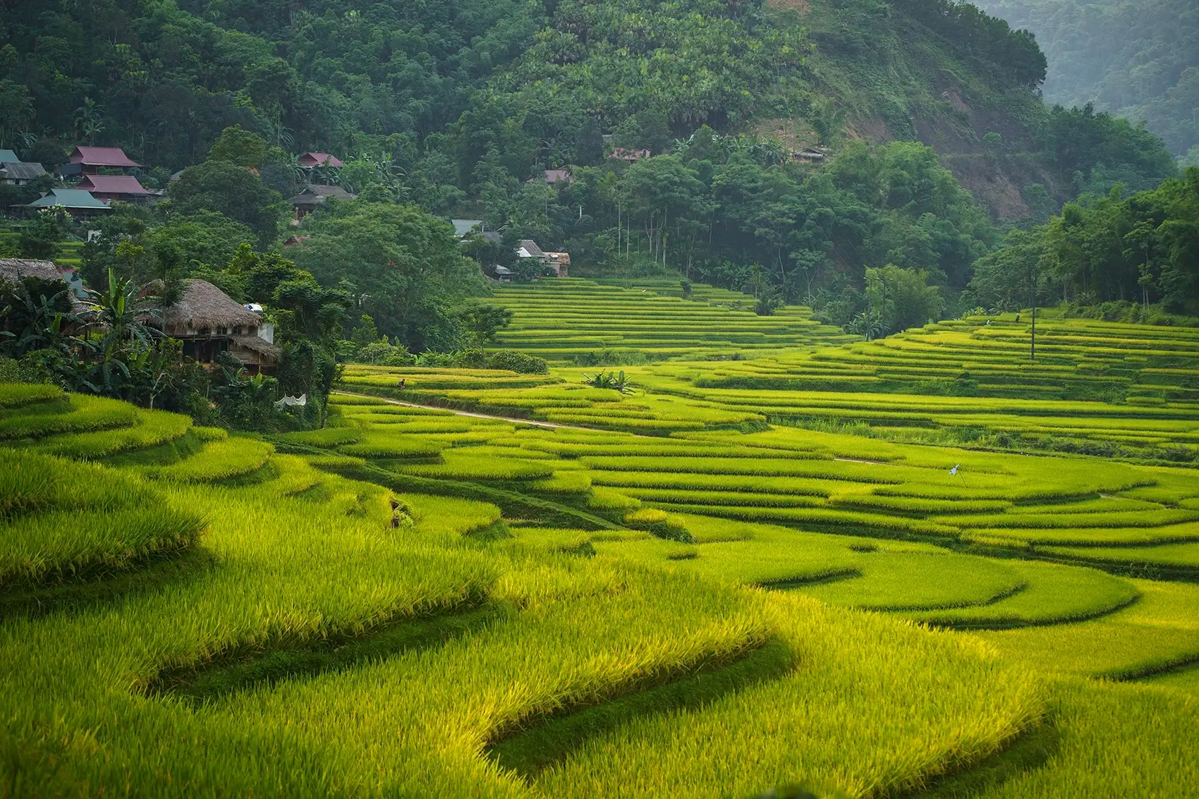 14 DAYS NORTHERN VIETNAM HERITAGE CYCLING FROM PEAKS TO PALMS